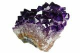 Dark Purple, Amethyst Crystal Cluster - Excellent Crystals #122091-1